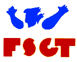 fsgt_2
